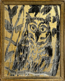 Owl Washington