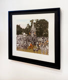 Regent's Park - The Runaway Donkeys