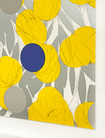 Mimosa with Blue, April 24, 2024