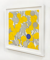 Mimosa with Blue, April 24, 2024