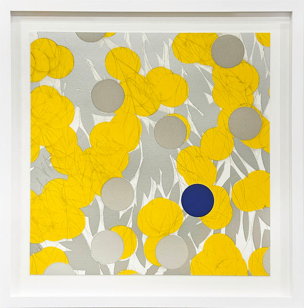 Mimosa with Blue, April 24, 2024