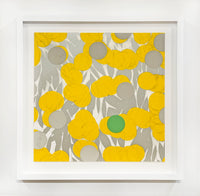 Mimosa with Green, April 24, 2024