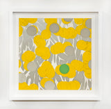 Mimosa with Green, April 24, 2024