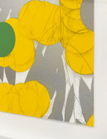 Mimosa with Green, April 24, 2024