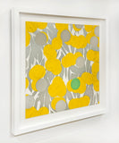 Mimosa with Green, April 24, 2024