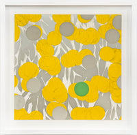 Mimosa with Green, April 24, 2024