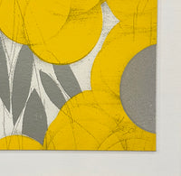 Mimosa with Orange, April 24, 2024