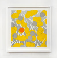 Mimosa with Orange, April 24, 2024