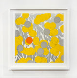Mimosa with Orange, April 24, 2024