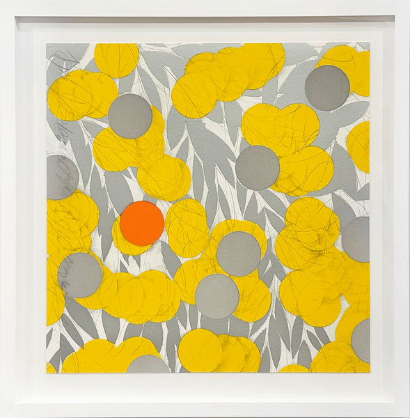Mimosa with Orange, April 24, 2024