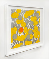 Mimosa with Orange, April 24, 2024