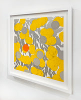 Mimosa with Orange, April 24, 2024