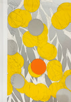 Mimosa with Orange, April 24, 2024