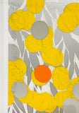 Mimosa with Orange, April 24, 2024