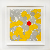 Mimosa with Red, April 24, 2024