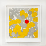 Mimosa with Red, April 24, 2024