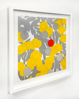 Mimosa with Red, April 24, 2024