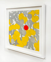 Mimosa with Red, April 24, 2024