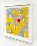 Mimosa with Red, April 24, 2024