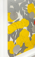 Mimosa with Red, April 24, 2024