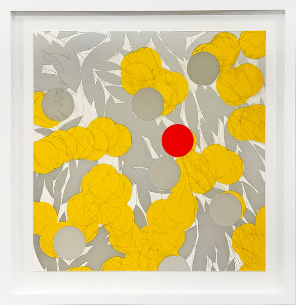 Mimosa with Red, April 24, 2024