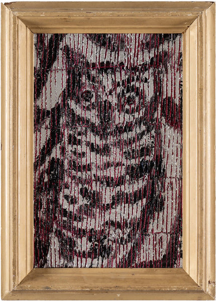 Magenta Owl